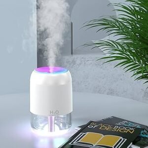 Humidificateur et Diffuseur d&rsquo;Arômes Portable H₂O
