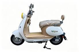 moto electique snoport 1500D-1