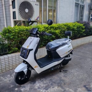 Moto électrique M17 YW (SN1500D-3)