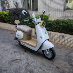 moto electique snoport 1500D-1