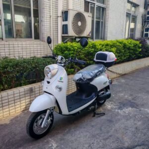 moto electrique snoport sn1500D-2