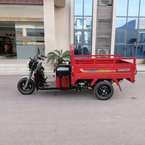 Tricycle cargo SN150ZH-20A