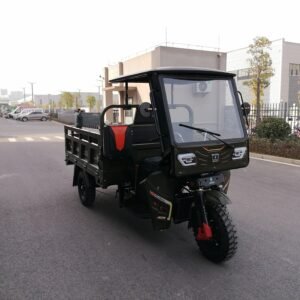 Tricycle cargo SN150ZH-200